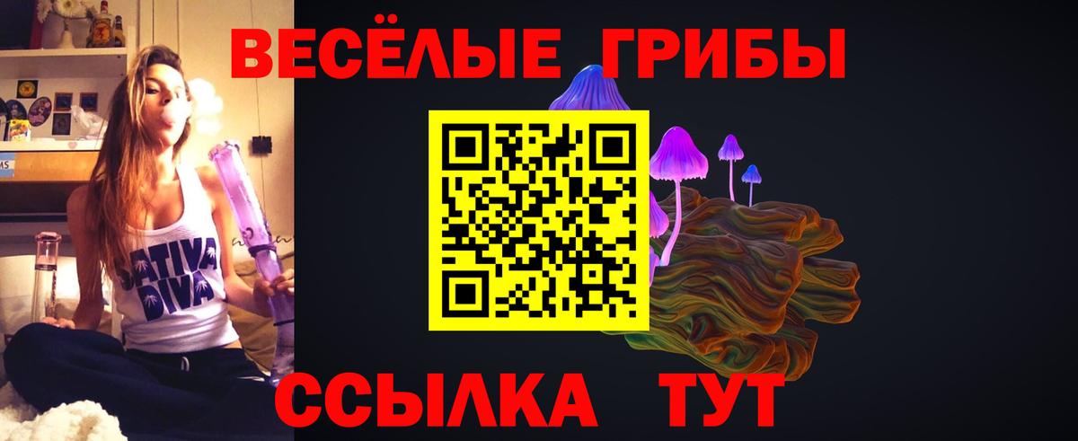 Дзержинский  купить закладку  Вход с VPN  Псилоцибиновые грибы ЛСД 